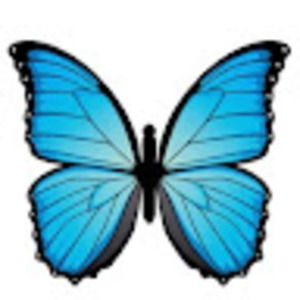 Meet your Posher, Elena